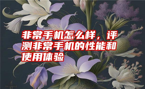 非常手机怎么样，评测非常手机的性能和使用体验