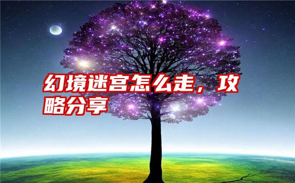 幻境迷宫怎么走，攻略分享