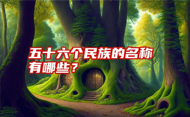 五十六个民族的名称有哪些？