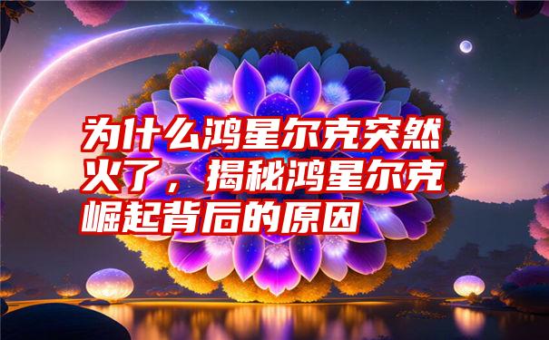 为什么鸿星尔克突然火了，揭秘鸿星尔克崛起背后的原因