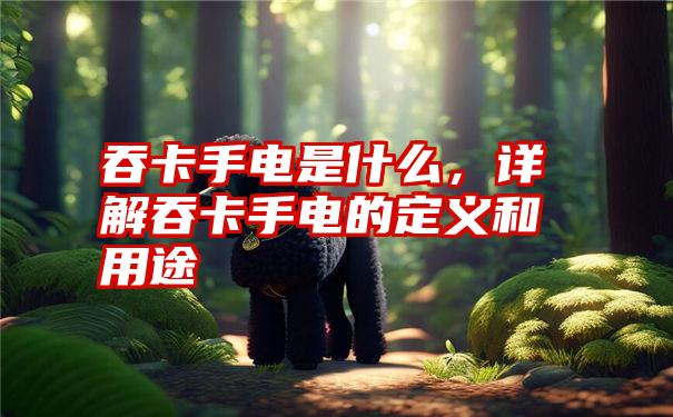 吞卡手电是什么，详解吞卡手电的定义和用途