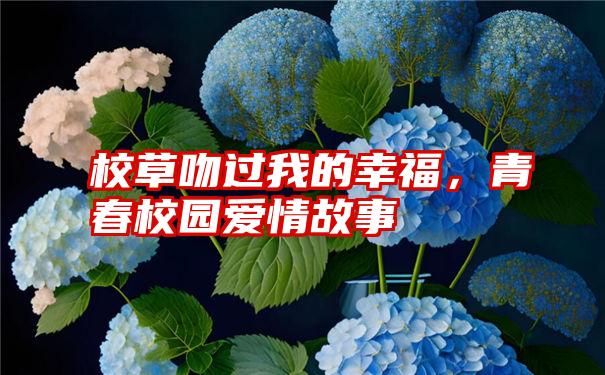 校草吻过我的幸福，青春校园爱情故事