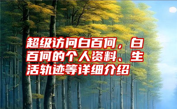 超级访问白百何，白百何的个人资料、生活轨迹等详细介绍