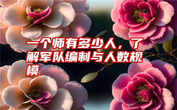 一个师有多少人，了解军队编制与人数规模