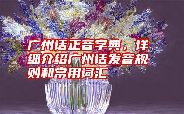 广州话正音字典，详细介绍广州话发音规则和常用词汇