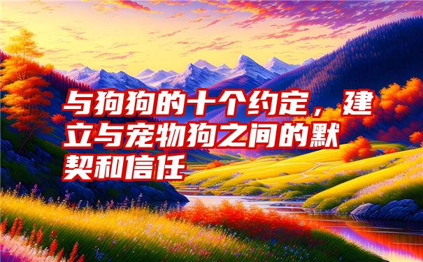 与狗狗的十个约定，建立与宠物狗之间的默契和信任