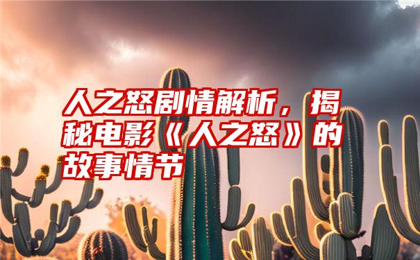 人之怒剧情解析，揭秘电影《人之怒》的故事情节