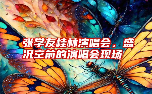 张学友桂林演唱会，盛况空前的演唱会现场