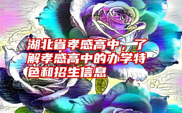 湖北省孝感高中，了解孝感高中的办学特色和招生信息