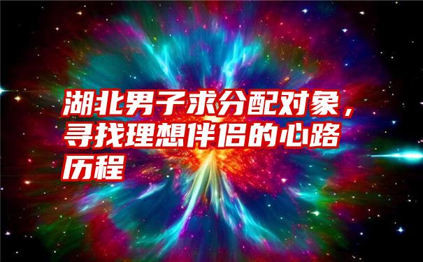 湖北男子求分配对象，寻找理想伴侣的心路历程