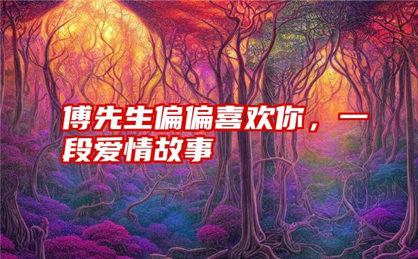 傅先生偏偏喜欢你，一段爱情故事