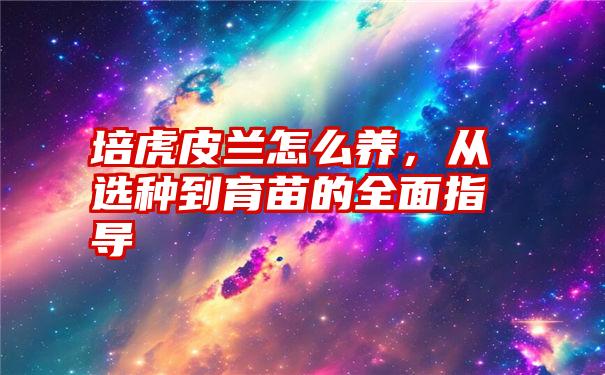 培虎皮兰怎么养，从选种到育苗的全面指导