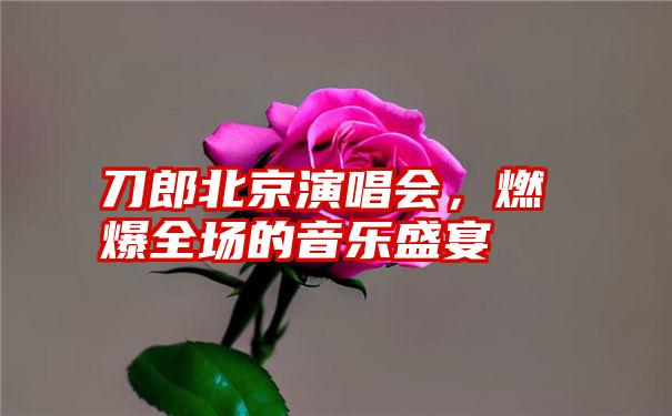 刀郎北京演唱会，燃爆全场的音乐盛宴