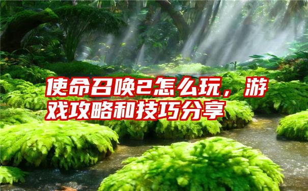 使命召唤2怎么玩，游戏攻略和技巧分享