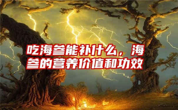 吃海参能补什么，海参的营养价值和功效