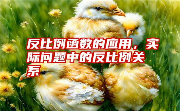 反比例函数的应用，实际问题中的反比例关系