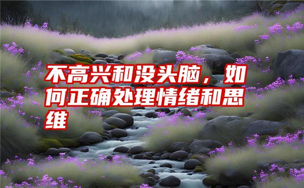 不高兴和没头脑，如何正确处理情绪和思维