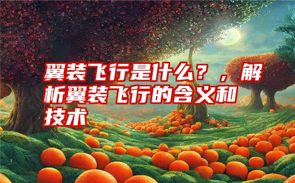 翼装飞行是什么？，解析翼装飞行的含义和技术