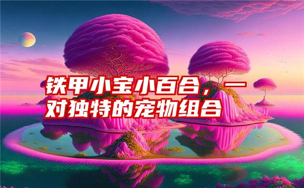 铁甲小宝小百合，一对独特的宠物组合