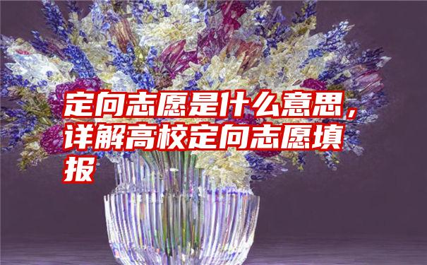 定向志愿是什么意思，详解高校定向志愿填报