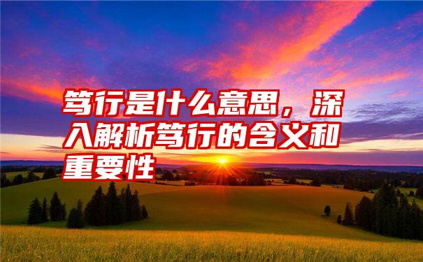 笃行是什么意思，深入解析笃行的含义和重要性