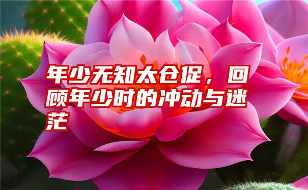 年少无知太仓促，回顾年少时的冲动与迷茫