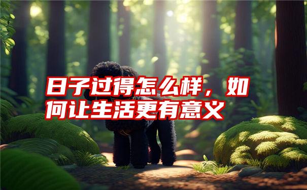 日子过得怎么样，如何让生活更有意义