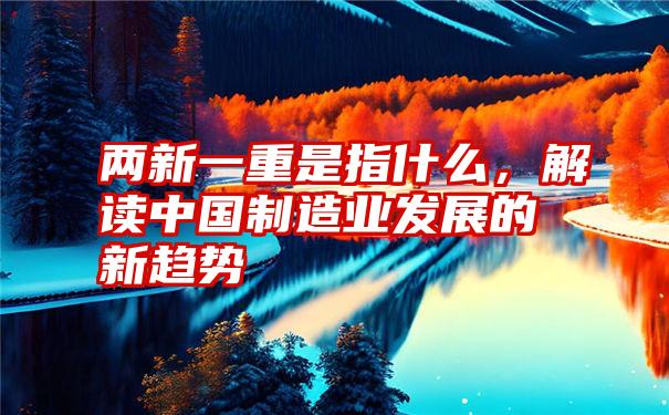 两新一重是指什么，解读中国制造业发展的新趋势