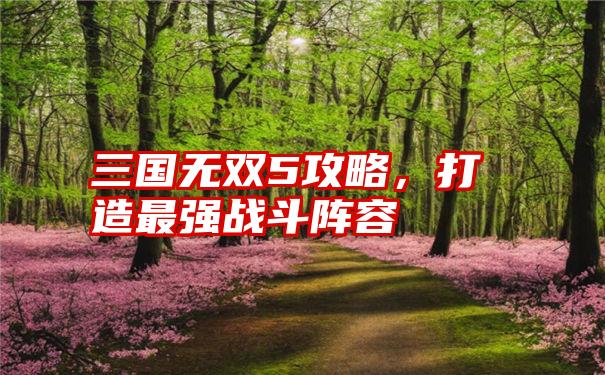 三国无双5攻略，打造最强战斗阵容