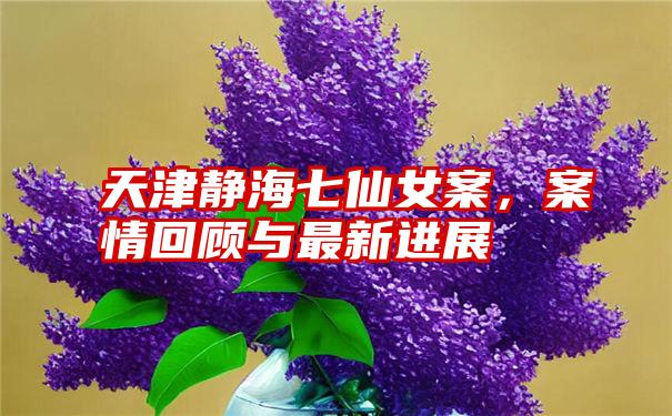 天津静海七仙女案，案情回顾与最新进展