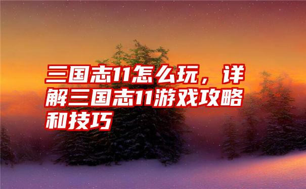 三国志11怎么玩，详解三国志11游戏攻略和技巧