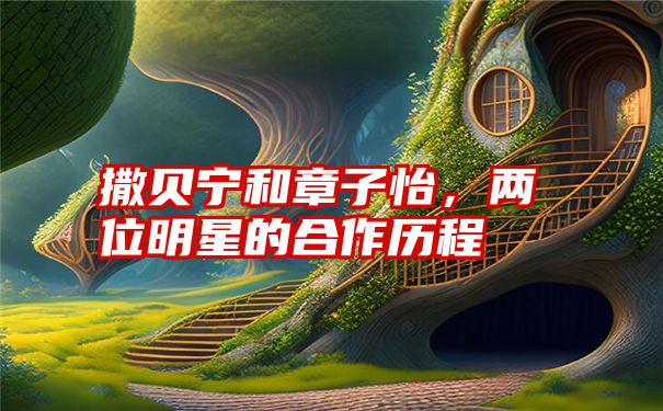 撒贝宁和章子怡，两位明星的合作历程