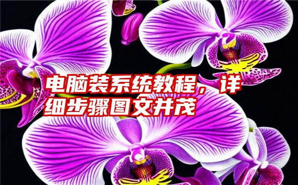 电脑装系统教程，详细步骤图文并茂