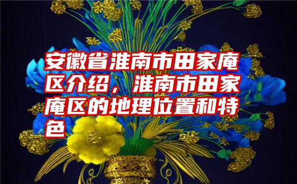 安徽省淮南市田家庵区介绍，淮南市田家庵区的地理位置和特色