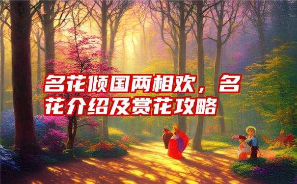 名花倾国两相欢，名花介绍及赏花攻略