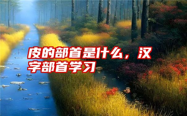 皮的部首是什么，汉字部首学习