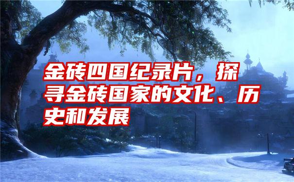 金砖四国纪录片，探寻金砖国家的文化、历史和发展