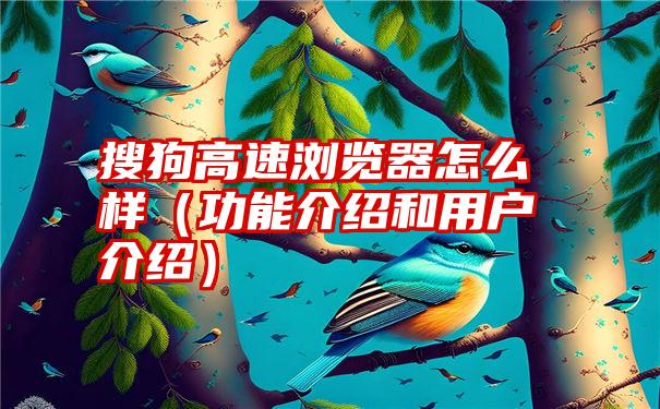 搜狗高速浏览器怎么样（功能介绍和用户介绍）