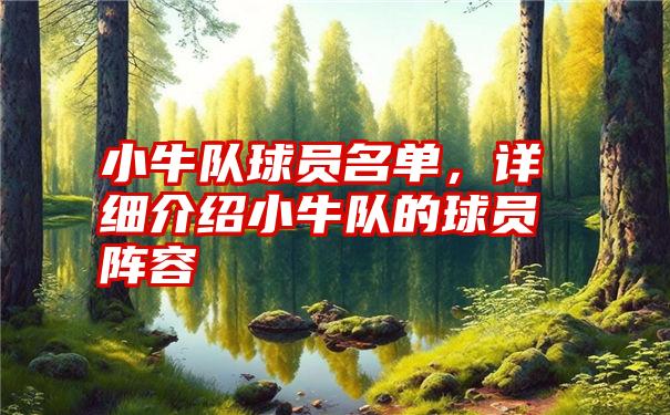 小牛队球员名单，详细介绍小牛队的球员阵容