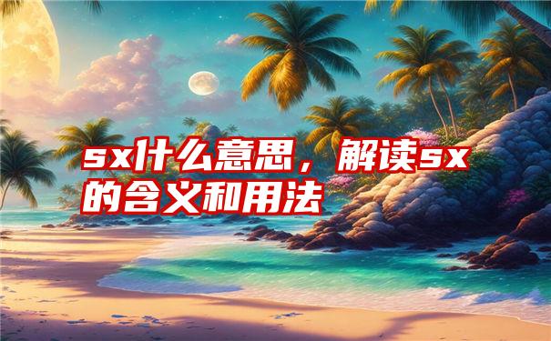 sx什么意思，解读sx的含义和用法