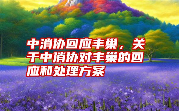 中消协回应丰巢，关于中消协对丰巢的回应和处理方案