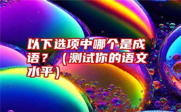 以下选项中哪个是成语？（测试你的语文水平）