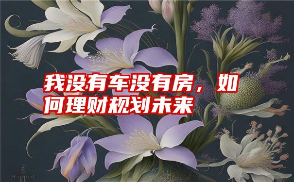 我没有车没有房，如何理财规划未来