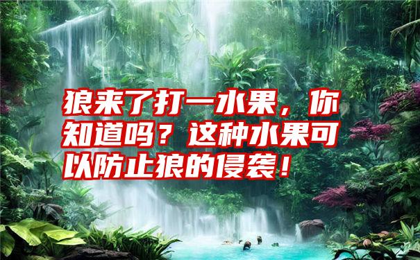 狼来了打一水果，你知道吗？这种水果可以防止狼的侵袭！