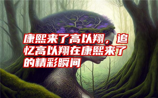 康熙来了高以翔，追忆高以翔在康熙来了的精彩瞬间