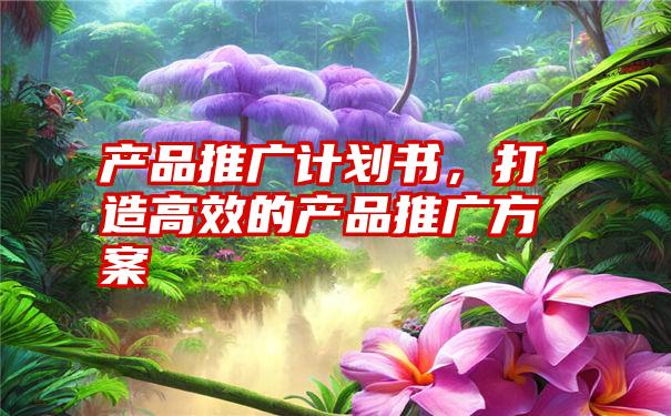 产品推广计划书，打造高效的产品推广方案