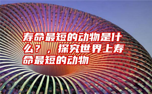 寿命最短的动物是什么？，探究世界上寿命最短的动物