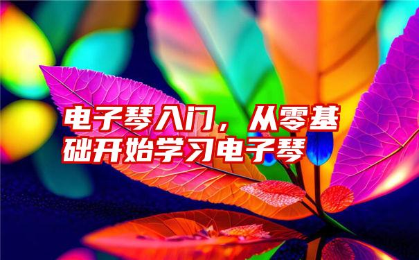 电子琴入门，从零基础开始学习电子琴