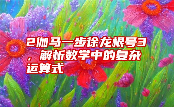 2伽马一步徐龙根号3，解析数学中的复杂运算式