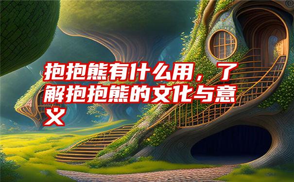 抱抱熊有什么用，了解抱抱熊的文化与意义